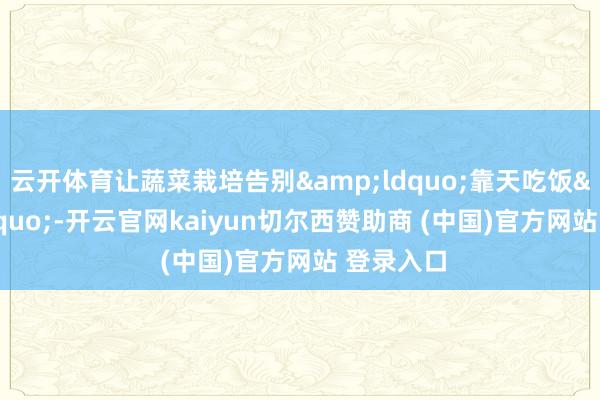 云开体育让蔬菜栽培告别&ldquo;靠天吃饭&rdquo;-开云官网kaiyun切尔西赞助商 (中国)官方网站 登录入口