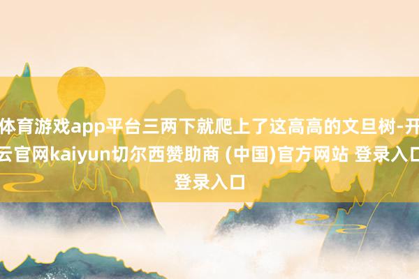 体育游戏app平台三两下就爬上了这高高的文旦树-开云官网kaiyun切尔西赞助商 (中国)官方网站 登录入口