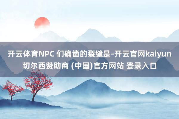开云体育NPC 们确凿的裂缝是-开云官网kaiyun切尔西赞助商 (中国)官方网站 登录入口