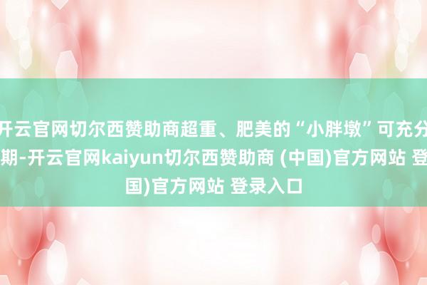 开云官网切尔西赞助商超重、肥美的“小胖墩”可充分欺诈假期-开云官网kaiyun切尔西赞助商 (中国)官方网站 登录入口