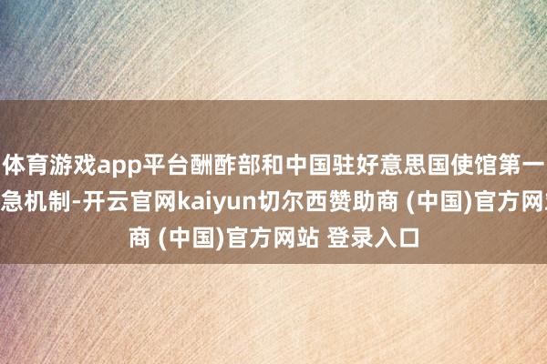 体育游戏app平台酬酢部和中国驻好意思国使馆第一时刻动手救急机制-开云官网kaiyun切尔西赞助商 (中国)官方网站 登录入口