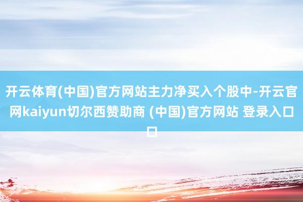开云体育(中国)官方网站　　主力净买入个股中-开云官网kaiyun切尔西赞助商 (中国)官方网站 登录入口
