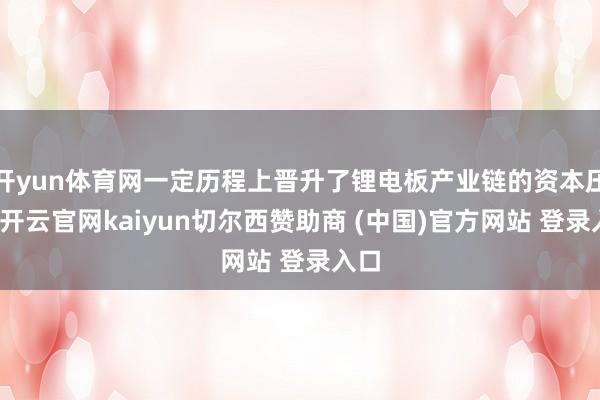 开yun体育网一定历程上晋升了锂电板产业链的资本压力-开云官网kaiyun切尔西赞助商 (中国)官方网站 登录入口