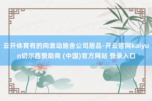 云开体育有的向激动施舍公司居品-开云官网kaiyun切尔西赞助商 (中国)官方网站 登录入口