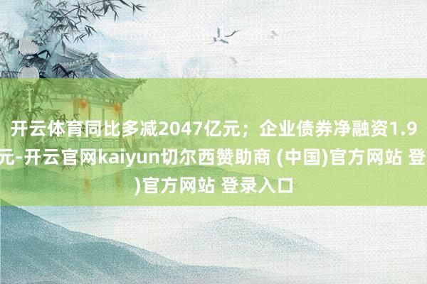 开云体育同比多减2047亿元；企业债券净融资1.93万亿元-开云官网kaiyun切尔西赞助商 (中国)官方网站 登录入口