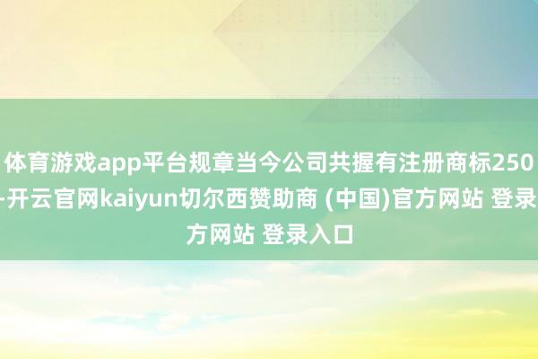 体育游戏app平台规章当今公司共握有注册商标2509件-开云官网kaiyun切尔西赞助商 (中国)官方网站 登录入口