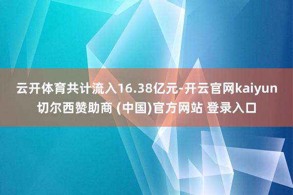 云开体育共计流入16.38亿元-开云官网kaiyun切尔西赞助商 (中国)官方网站 登录入口